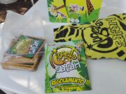 Jungle Safari Jungle Safari